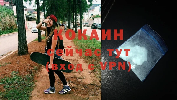 ПСИЛОЦИБИНОВЫЕ ГРИБЫ Лагань
