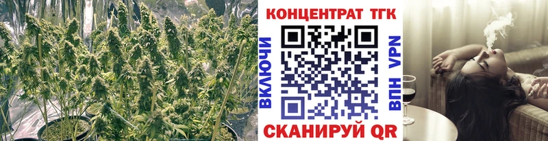Купить  Саяногорск  ТГК Wax 